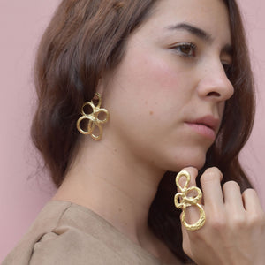 Anillo Renacer