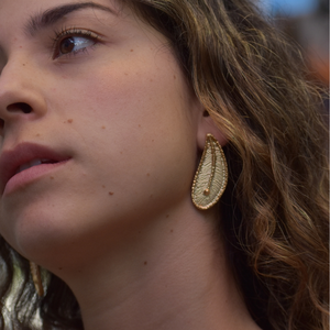 Arete Suculenta