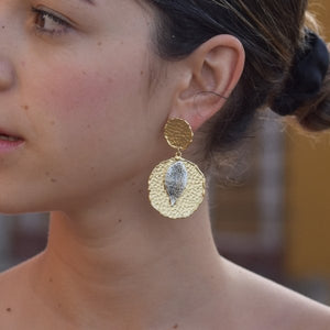 Arete  Crocus