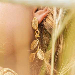 Arete Madreselva