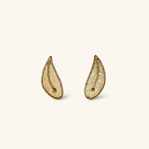 Arete Suculenta